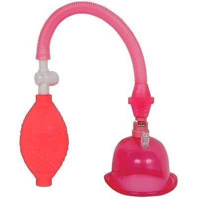 1484.jpg